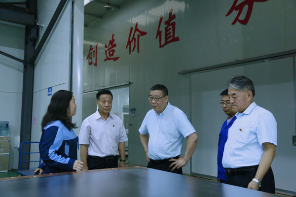 河南证监局王广幼局长一行莅临yy易游体育集团调研本钱市场工作